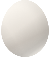 egg image
